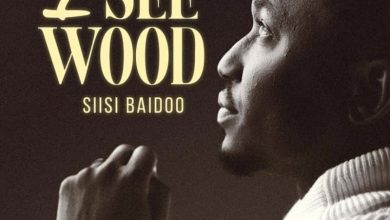 Siisi Baidoo - I See Wood