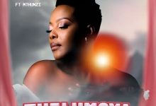 Nomcebo Zikode - Thelumoya Ft. Mthunzi