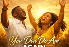 Steve Ayax - You Don Do Am Again