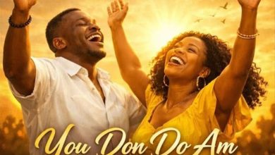 Steve Ayax - You Don Do Am Again