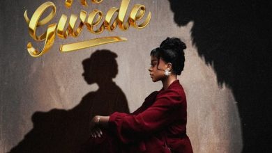 Theresa Phondo - No Gwede