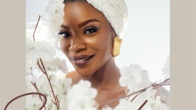 Toluwani Odukoya - Surrendered