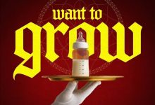 Gaise Baba - Want To Grow