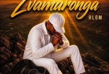 HLGM - Zvamaronga