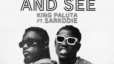 King Paluta Ft. Sarkodie - Give Up and See