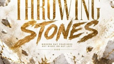 Sheena Taylor - Throwing Stones