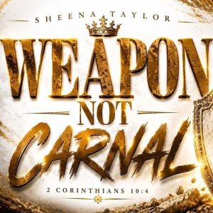 Sheena Taylor - Weapons Not Carnal