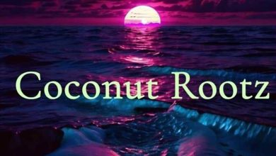 Coconut Rootz - I'm Not Doing This Again