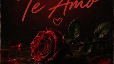 Levelz UP - Te Amo