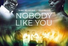 Taiwo Bolodeoku - Nobody Like You Ft. Adikamusic