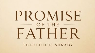 Theophilus Sunday - Promise Of The Father