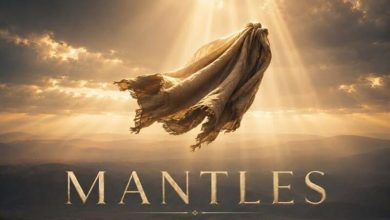 David Dam - Mantles