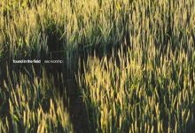 SEU Worship - Glory Arise Ft. Grace Shuffitt