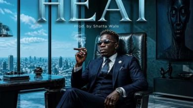 Shatta Wale - Heat