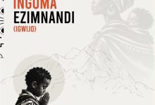 Culture Motion - Ingoma Ezimnandi iGwijo Ft. Pro Tee
