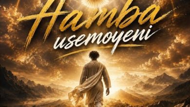 Vystor X - Hamba Usemoyeni